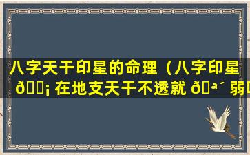 八字天干印星的命理（八字印星 🐡 在地支天干不透就 🪴 弱吗）